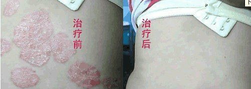 ţƤѢ�����ܲ���������ν�ĸ���